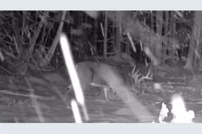 465 Powers Road, Pittsfield, ME 04967 - Photo 37