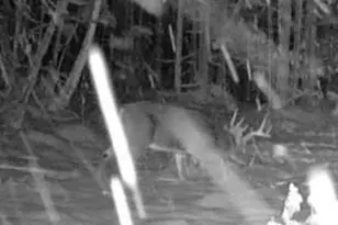 465 Powers Rd, Pittsfield, ME 04967 - Photo 37