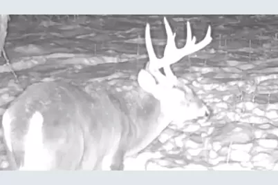 465 Powers Road, Pittsfield, ME 04967 - Photo 39