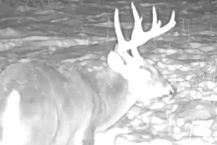 465 Powers Rd, Pittsfield, ME 04967 - Photo 39