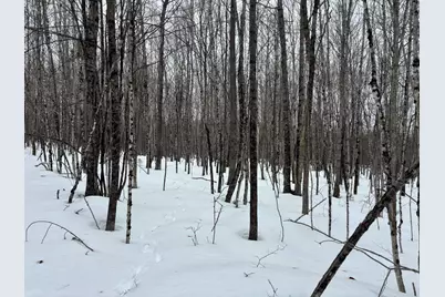 465 Powers Road, Pittsfield, ME 04967 - Photo 23