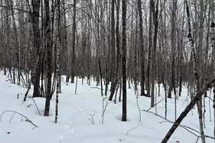 465 Powers Rd, Pittsfield, ME 04967 - Photo 23