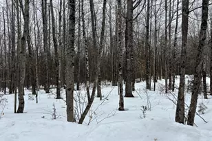 465 Powers Rd, Pittsfield, ME 04967 - Photo 33