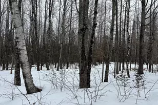 465 Powers Rd, Pittsfield, ME 04967 - Photo 19