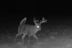 465 Powers Rd, Pittsfield, ME 04967 - Photo 7