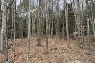 197 Franklin Rd, Jay, ME 04239 - Photo 23