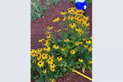 7 Fox Run Road, Orland, ME 04472 - Photo 25