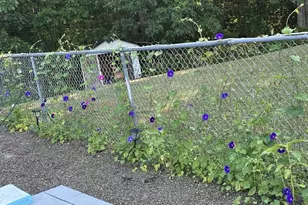 7 Fox Run Rd, Orland, ME 04472 - Photo 29