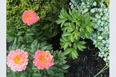 104 Evergreen Drive #104, Waterville, ME 04901 - Photo 39