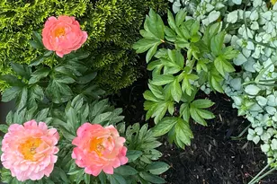 104 Evergreen Dr, Waterville, ME 04901 - Photo 39