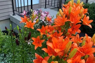 104 Evergreen Dr, Waterville, ME 04901 - Photo 45