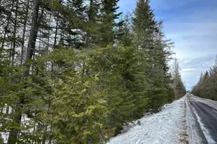 04-45 10 0 East Jemtland Rd, ConnorTownship, ME 04736 - Photo 1