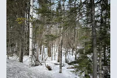 04-45.10,0 East Jemtland Road, ConnorTownship, ME 04736 - Photo 21