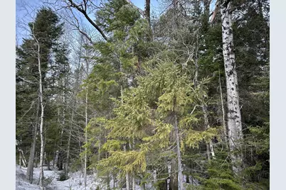 04-45.10,0 East Jemtland Road, ConnorTownship, ME 04736 - Photo 5