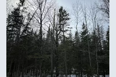 04-45.10,0 East Jemtland Road, ConnorTownship, ME 04736 - Photo 19