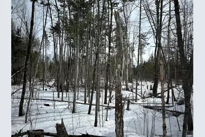 04-45.10,0 East Jemtland Road, ConnorTownship, ME 04736 - Photo 9