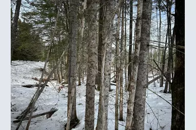 04-45.10,0 East Jemtland Road, ConnorTownship, ME 04736 - Photo 11