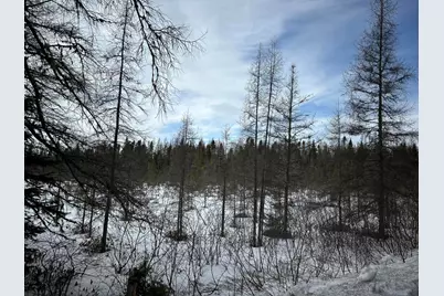 04-45.10,0 East Jemtland Road, ConnorTownship, ME 04736 - Photo 3