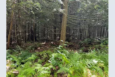 105 Poplar Point Road, Mount Vernon, ME 04352 - Photo 19