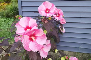 3190 Middle Rd, Sidney, ME 04330 - Photo 79