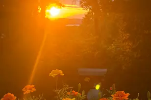 15 Presidential View, Raymond, ME 04071 - Photo 63