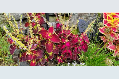 276 Violet Lane, Waldoboro, ME 04572 - Photo 21