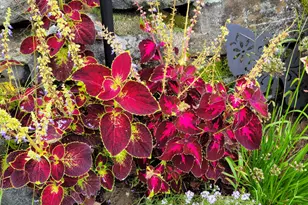 276 Violet Ln, Waldoboro, ME 04572 - Photo 21