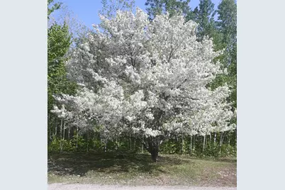 86 Lauries Lane, Hanover, ME 04237 - Photo 37