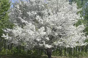 86 Laurie's Ln, Hanover, ME 04237 - Photo 37