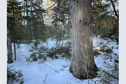 M7L22,L31 Nelson Ridge Road N, Washington, ME 04574 - Photo 33