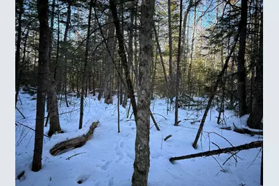 M7L22,L31 Nelson Ridge Road N, Washington, ME 04574 - Photo 11