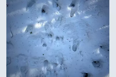 M7L22,L31 Nelson Ridge Road N, Washington, ME 04574 - Photo 17