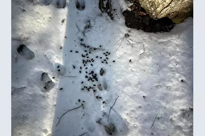 M7L22,L31 Nelson Ridge Road N, Washington, ME 04574 - Photo 31