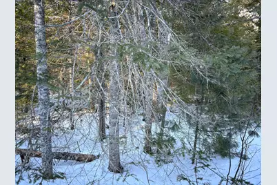 M7L22,L31 Nelson Ridge Road N, Washington, ME 04574 - Photo 3
