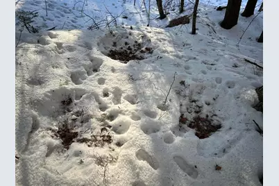 M7L22 Nelson Ridge Road N, Washington, ME 04574 - Photo 21