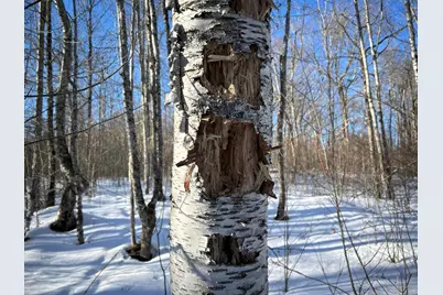 M7L31 Nelson Ridge Road N, Washington, ME 04574 - Photo 15