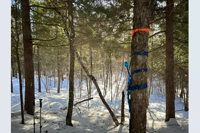 M7L31 Nelson Ridge Road N, Washington, ME 04574 - Photo 3