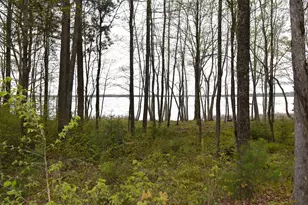 106 Shady Ln, Newport, ME 04953 - Photo 9