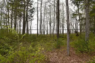 106 Shady Ln, Newport, ME 04953 - Photo 39