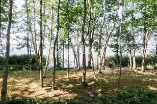 106 Shady Ln, Newport, ME 04953 - Photo 3