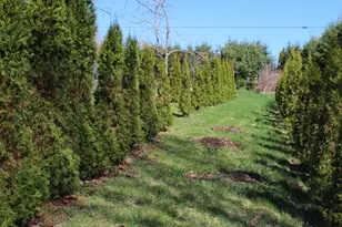 759 Brooks Rd, Knox, ME 04986 - Photo 35
