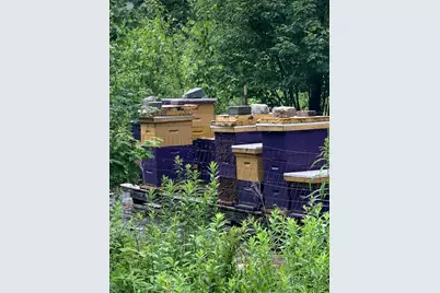 25 Bucksmills Road, Bucksport, ME 04416 - Photo 51