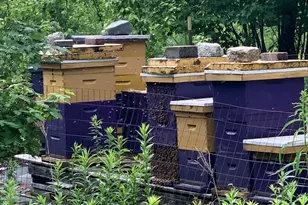 25 Bucksmills Rd, Bucksport, ME 04416 - Photo 51