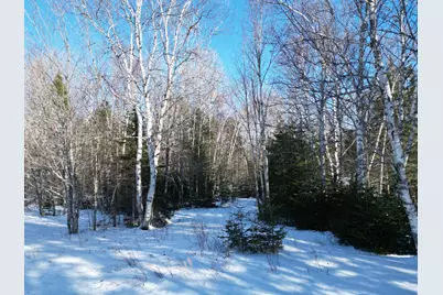 919 Shin Pond Road, Mount Chase, ME 04765 - Photo 23