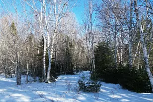 919 Shin Pond Rd, Mount Chase, ME 04765 - Photo 23
