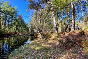 289 Pratt Rd, Parsonsfield, ME 04047 - Photo 9