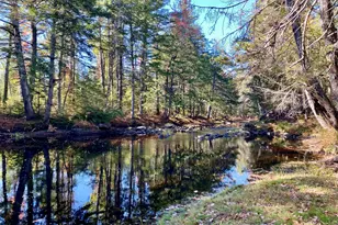 289 Pratt Rd, Parsonsfield, ME 04047 - Photo 51