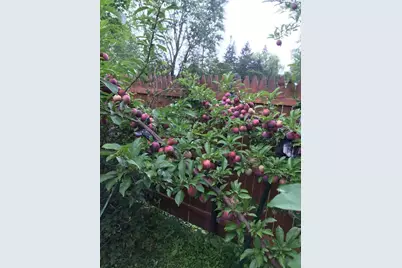 784 Essex Street, Bangor, ME 04401 - Photo 45