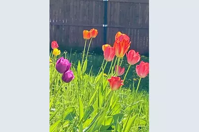 784 Essex Street, Bangor, ME 04401 - Photo 49