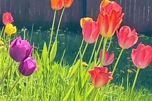 784 Essex St, Bangor, ME 04401 - Photo 49